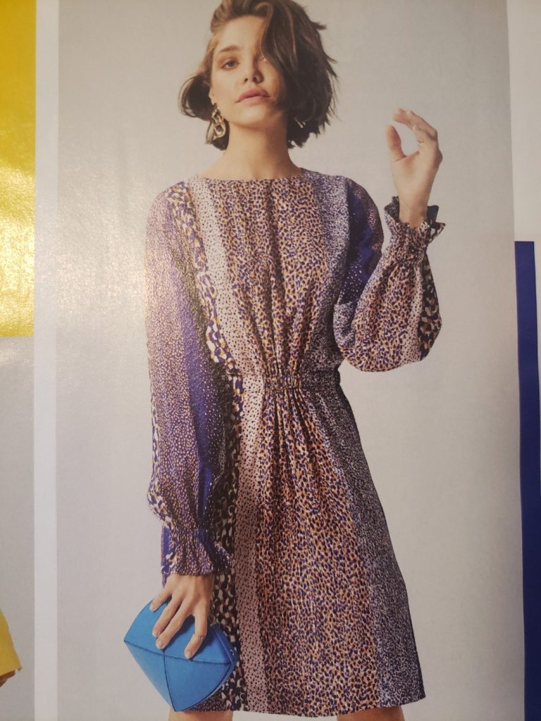 Leopard print dress with smocked waist (magazine)